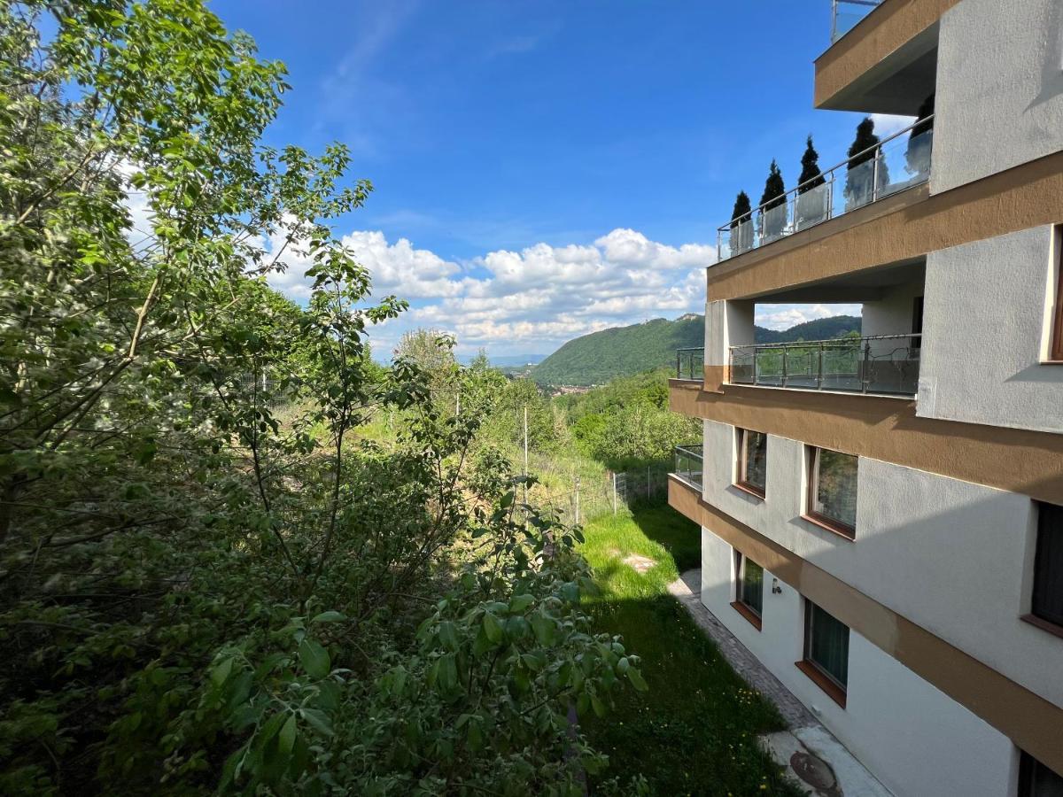 Coroni Studio With Jacuzzi Брашов Екстериор снимка